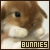 Bunnies & Rabbits